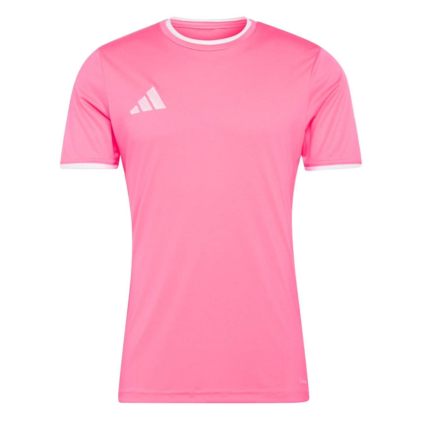 Solar Pink/White