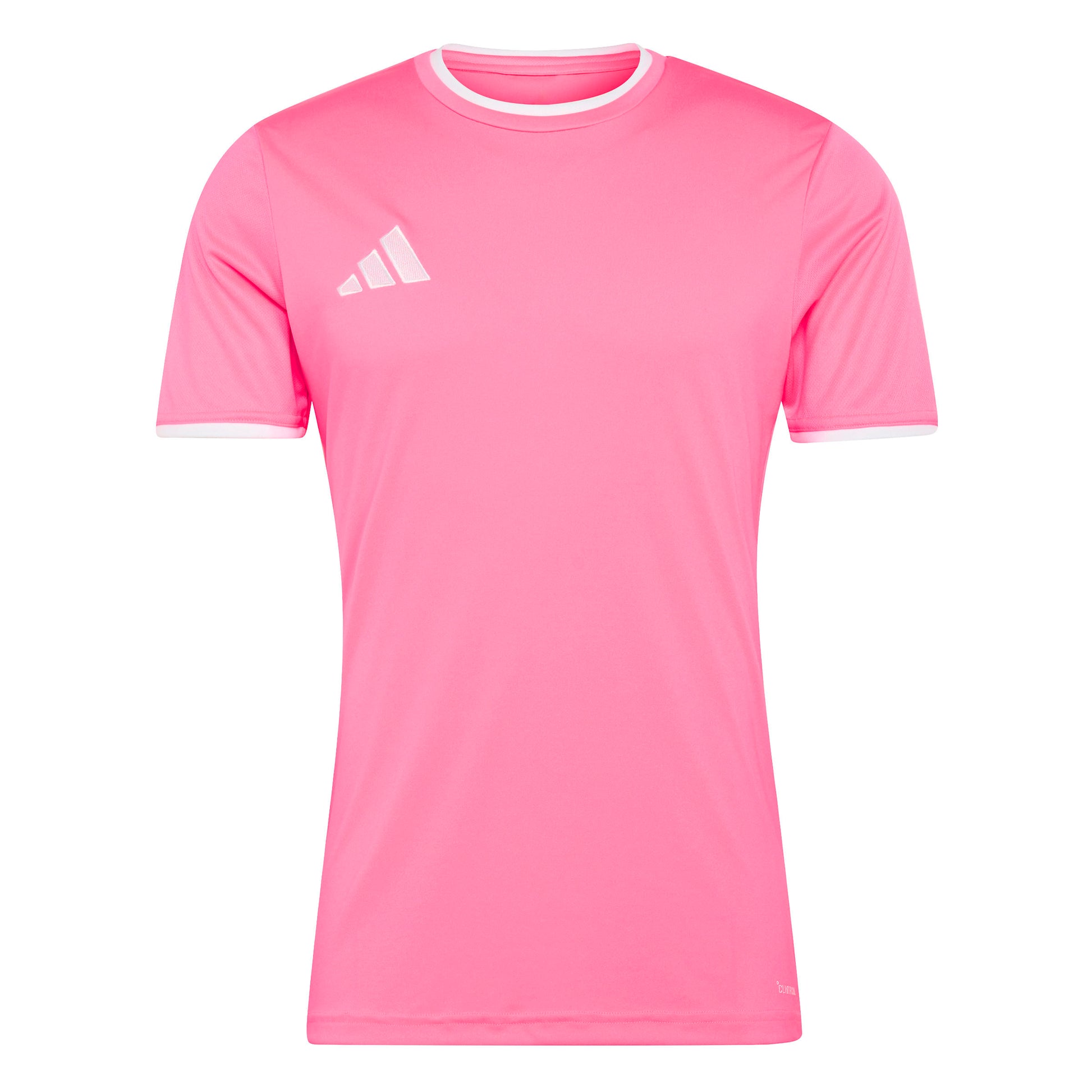 Solar Pink/White