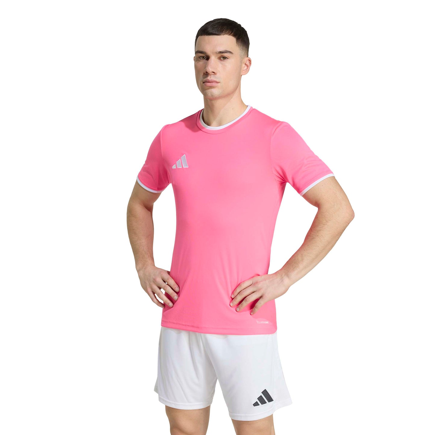 Solar Pink/White
