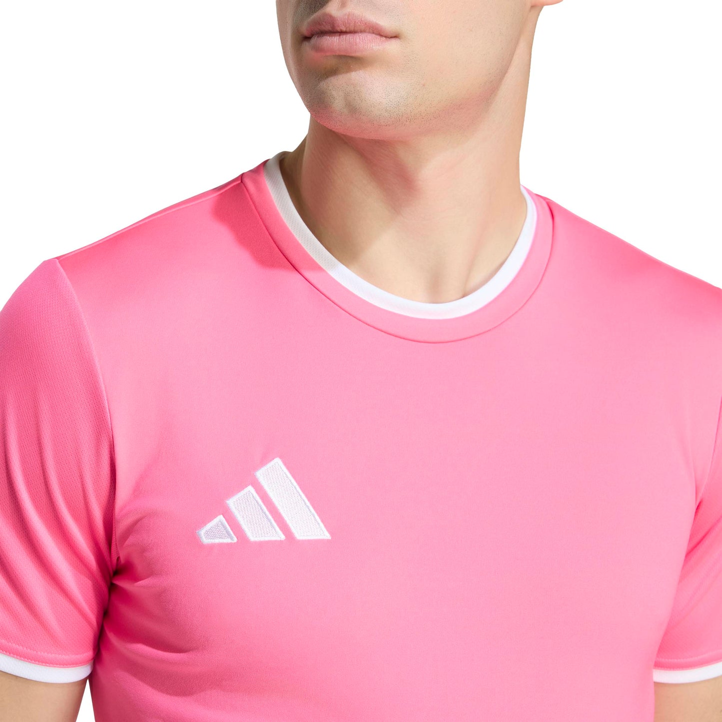 Solar Pink/White