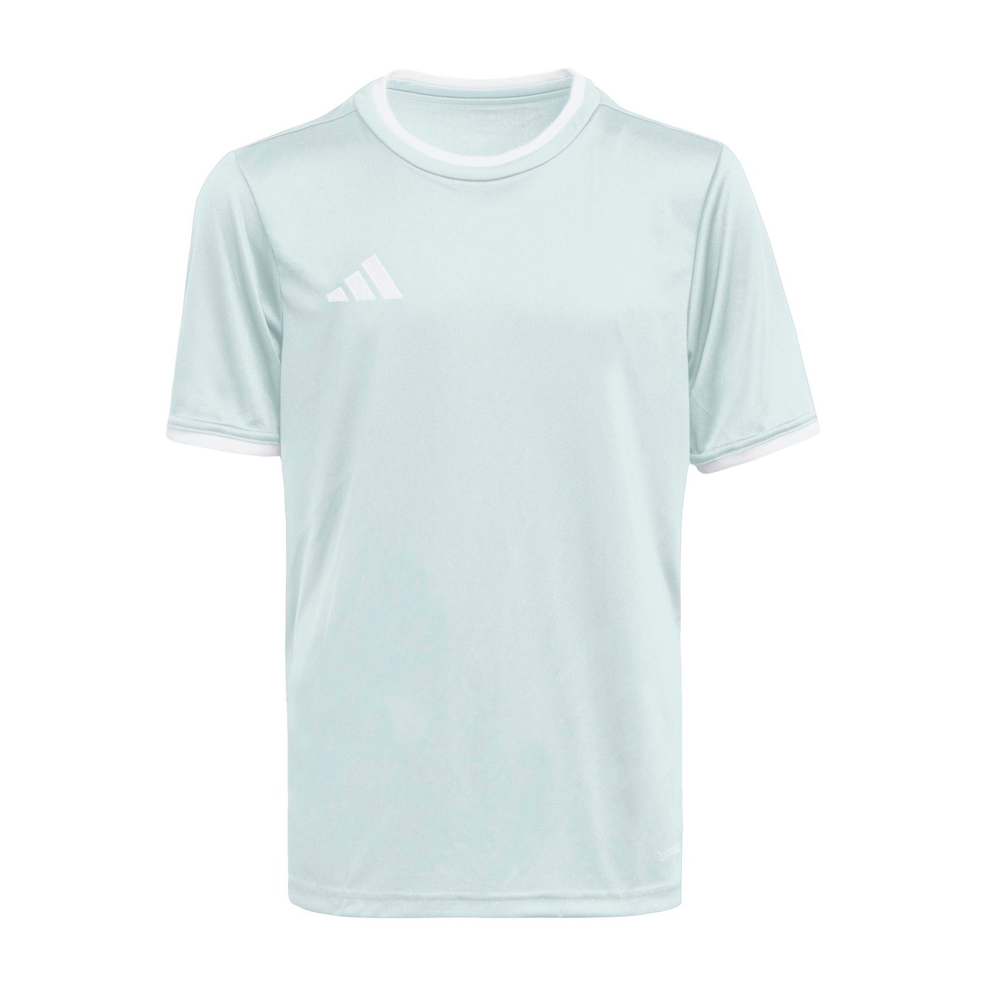 Halo Mint/White