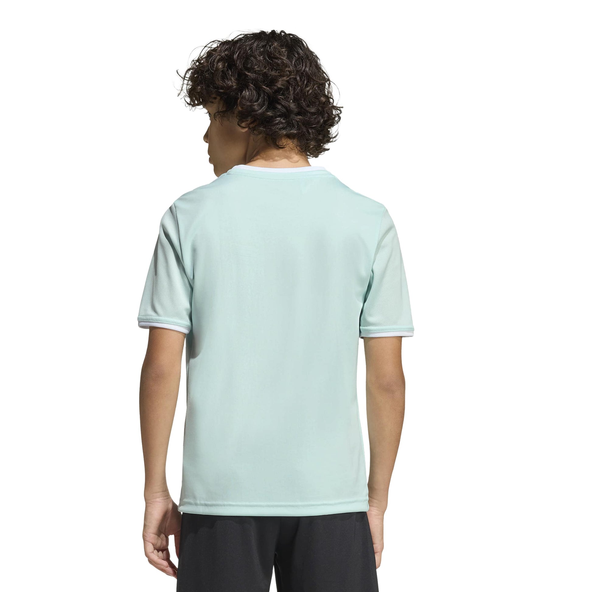 Halo Mint/White