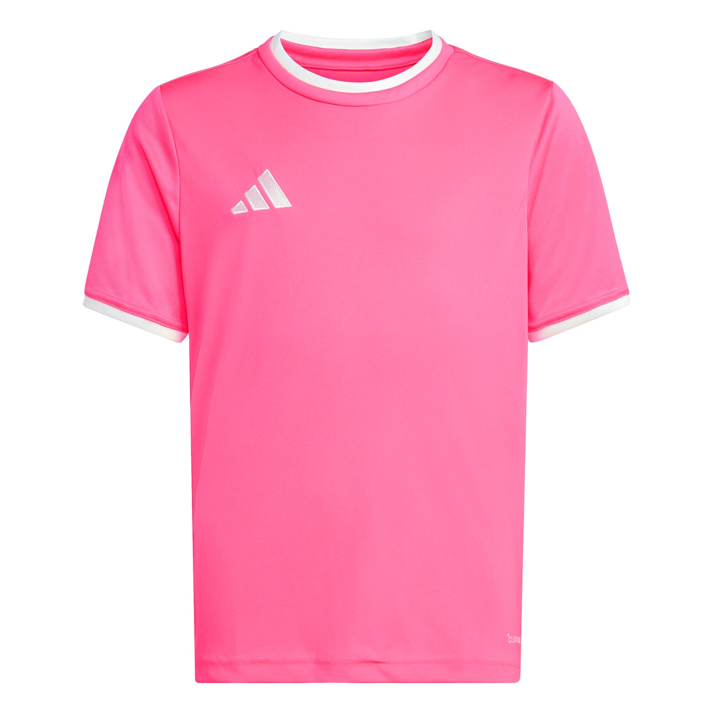 Solar Pink/White