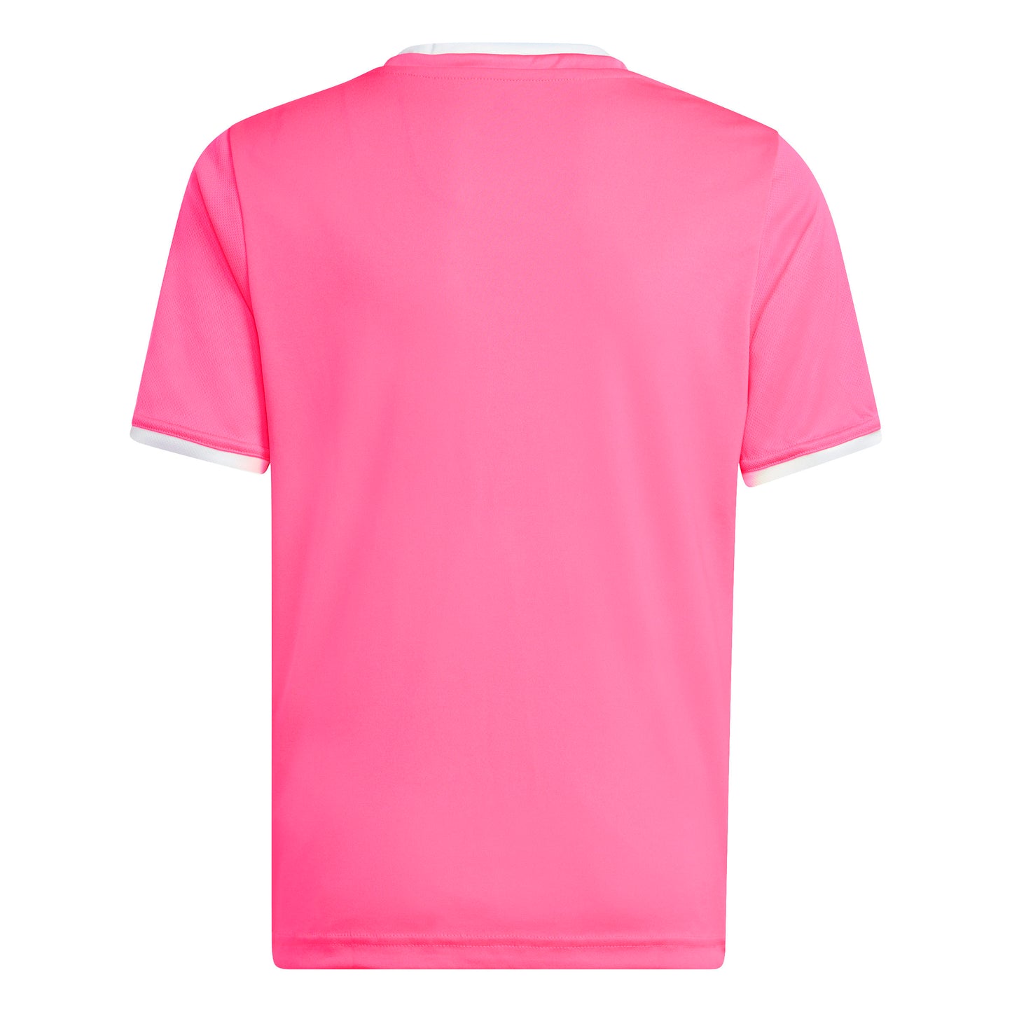 Solar Pink/White