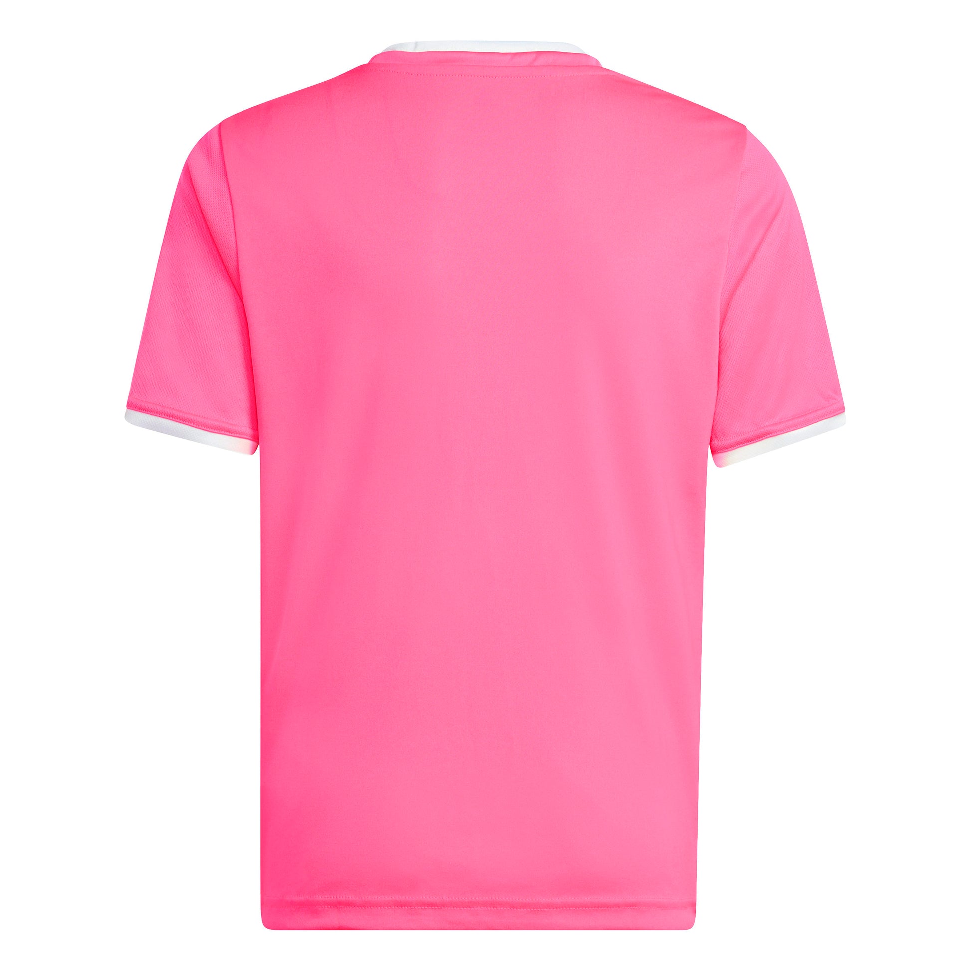 Solar Pink/White