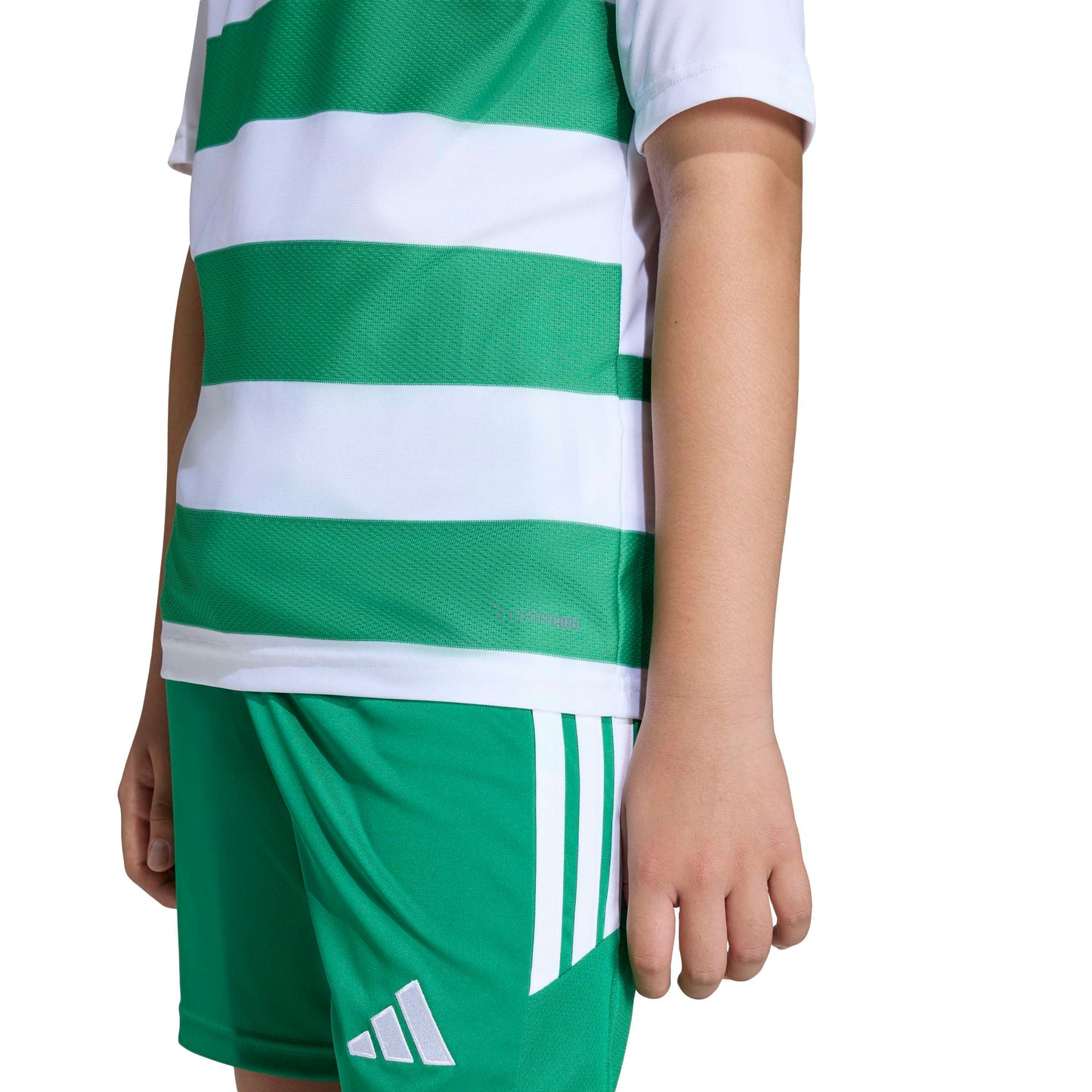 White/Team Green