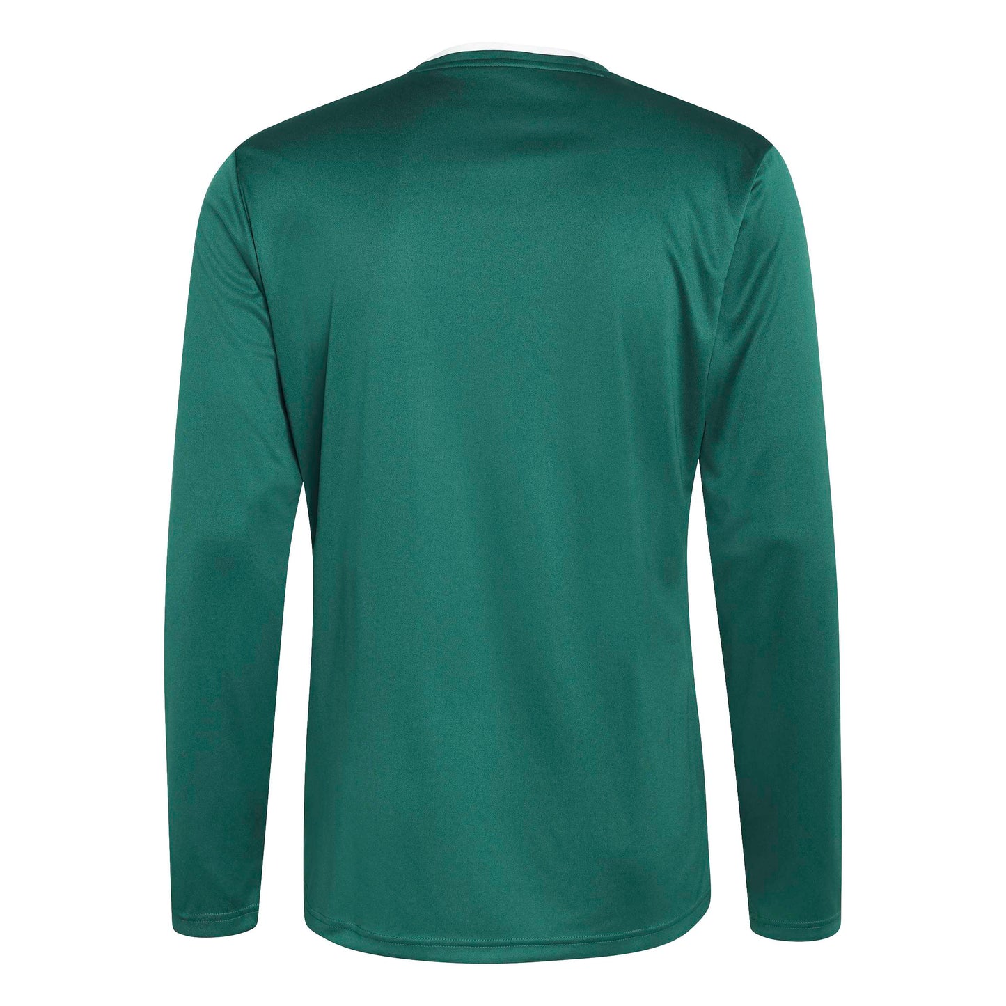Team Dark Green/White