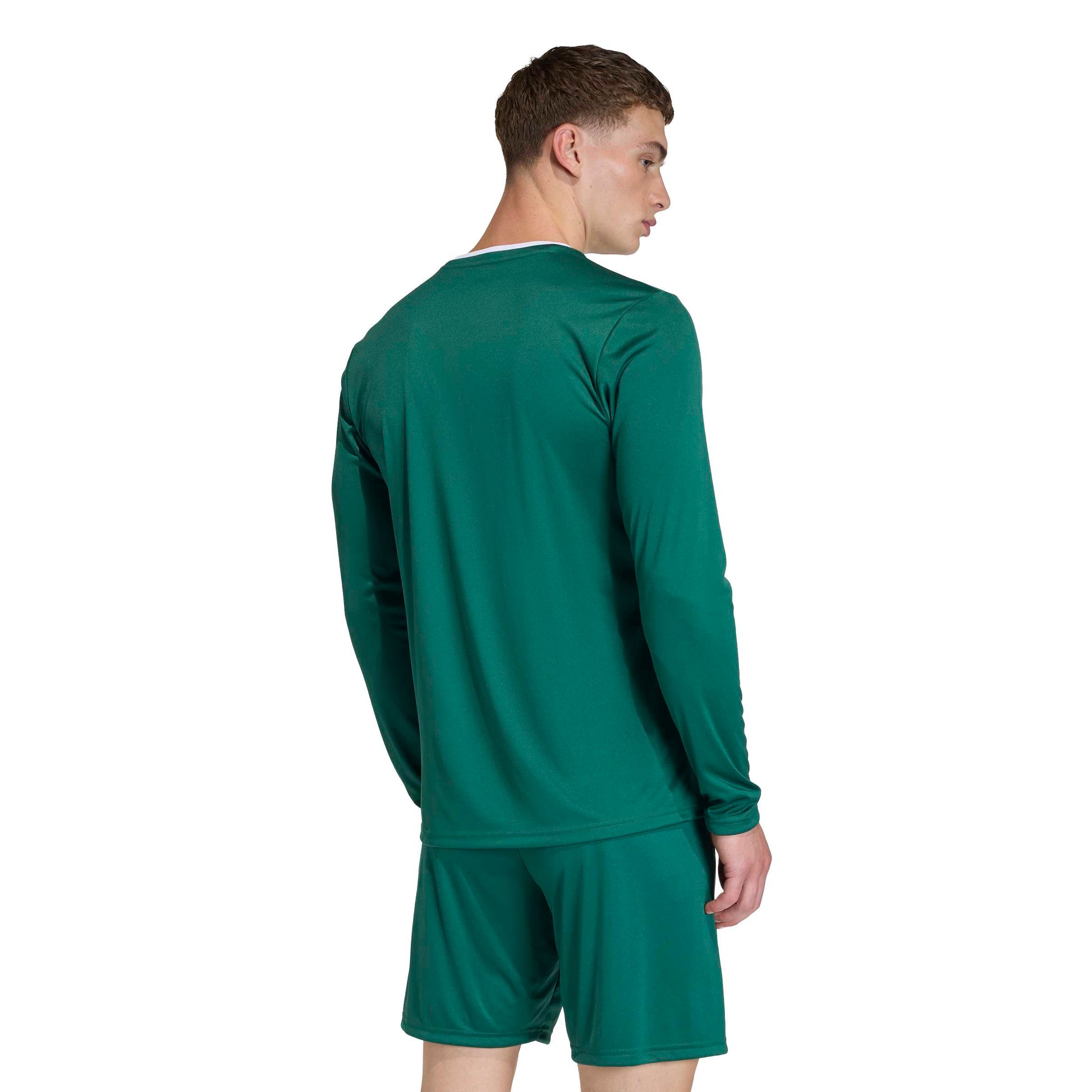 Team Dark Green/White