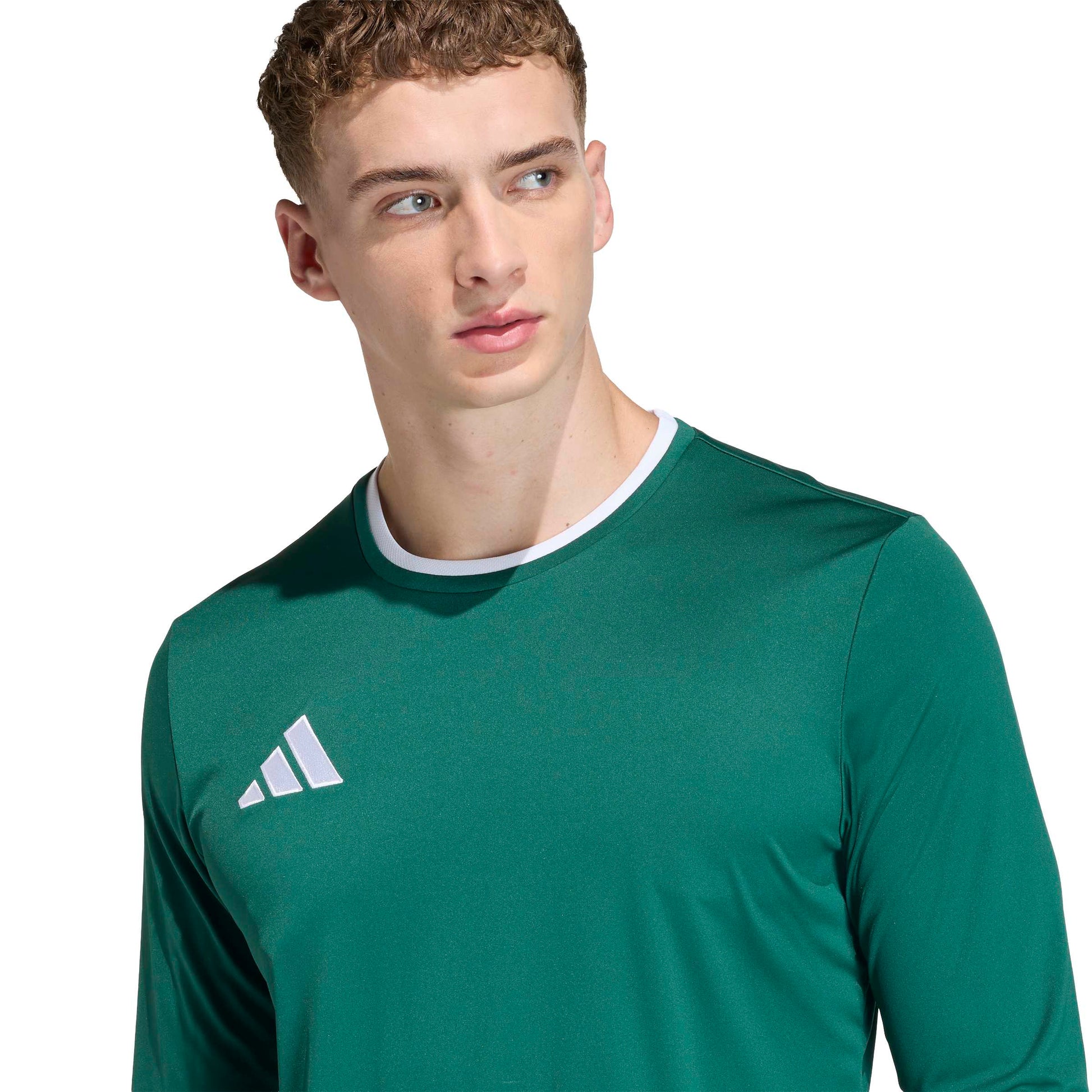 Team Dark Green/White