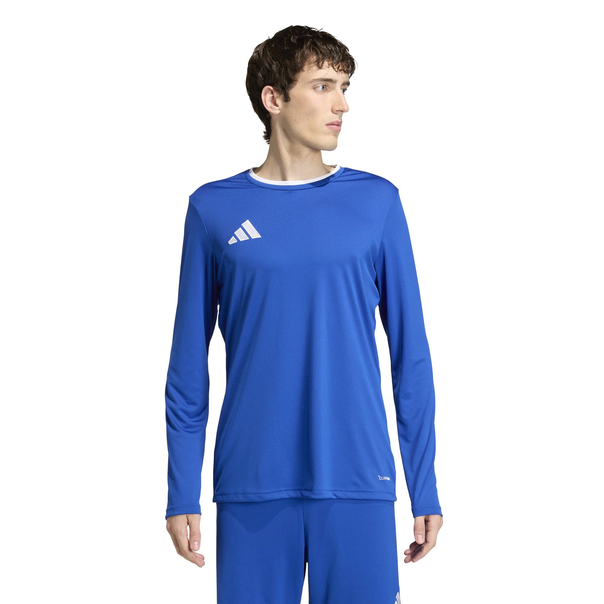 Team Royal Blue/White