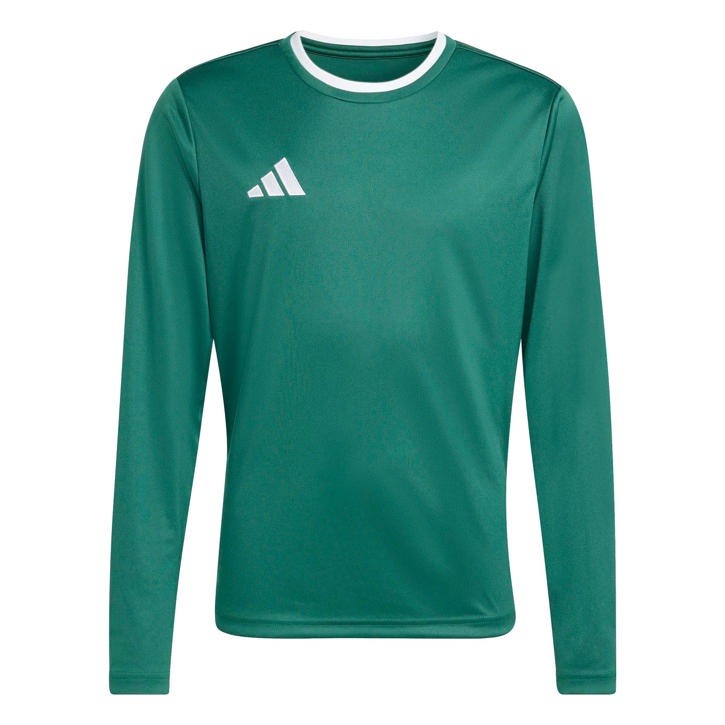 Team Dark Green/White