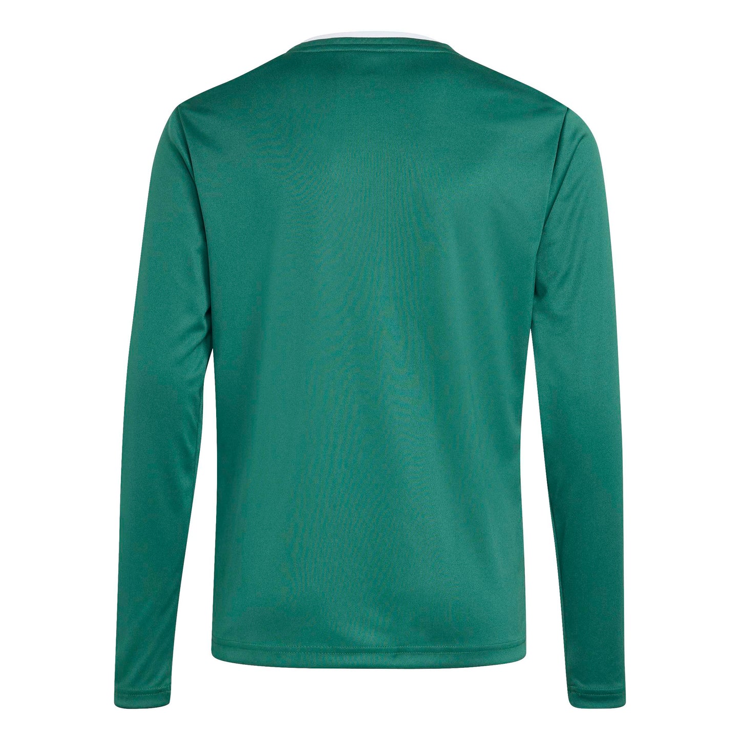 Team Dark Green/White