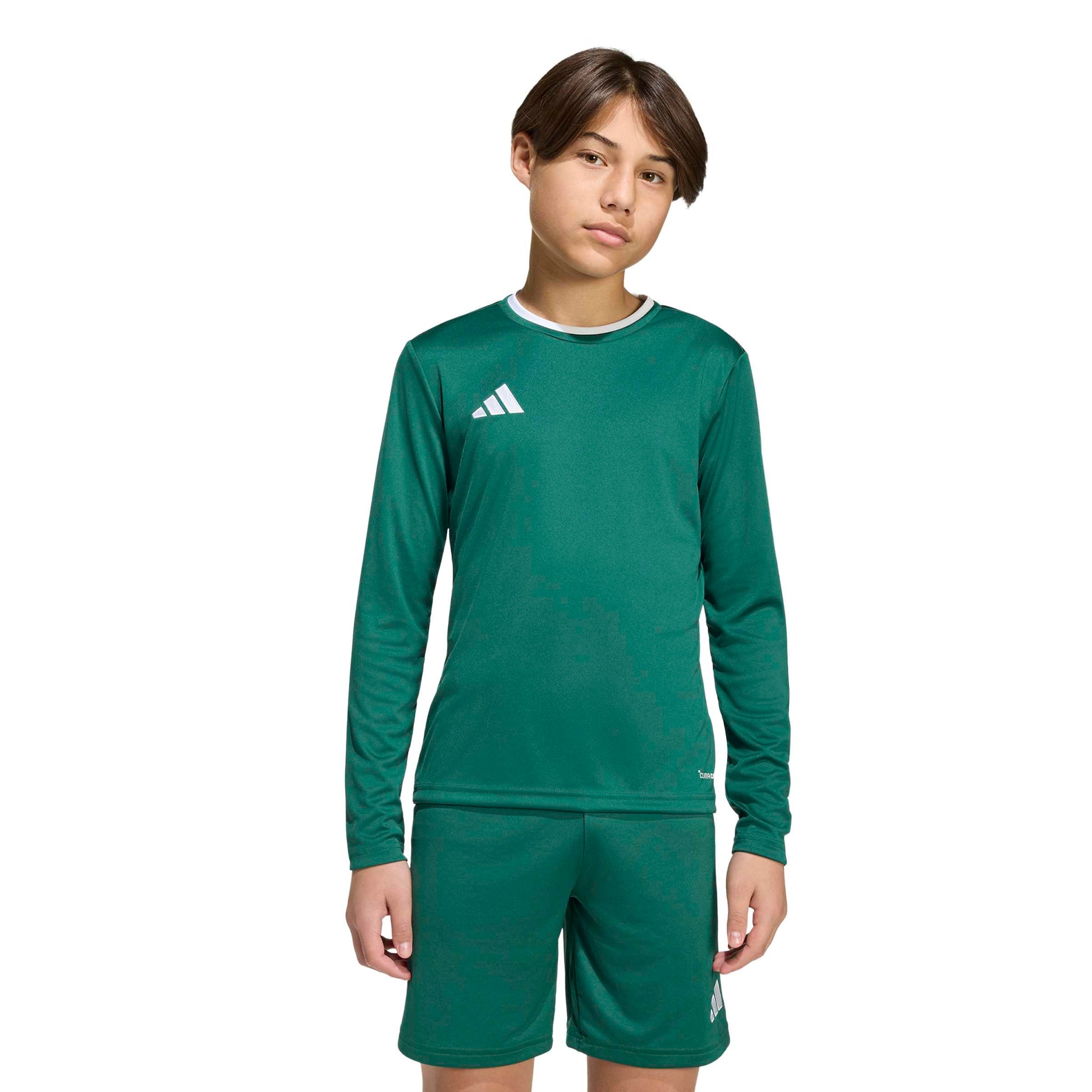 Team Dark Green/White