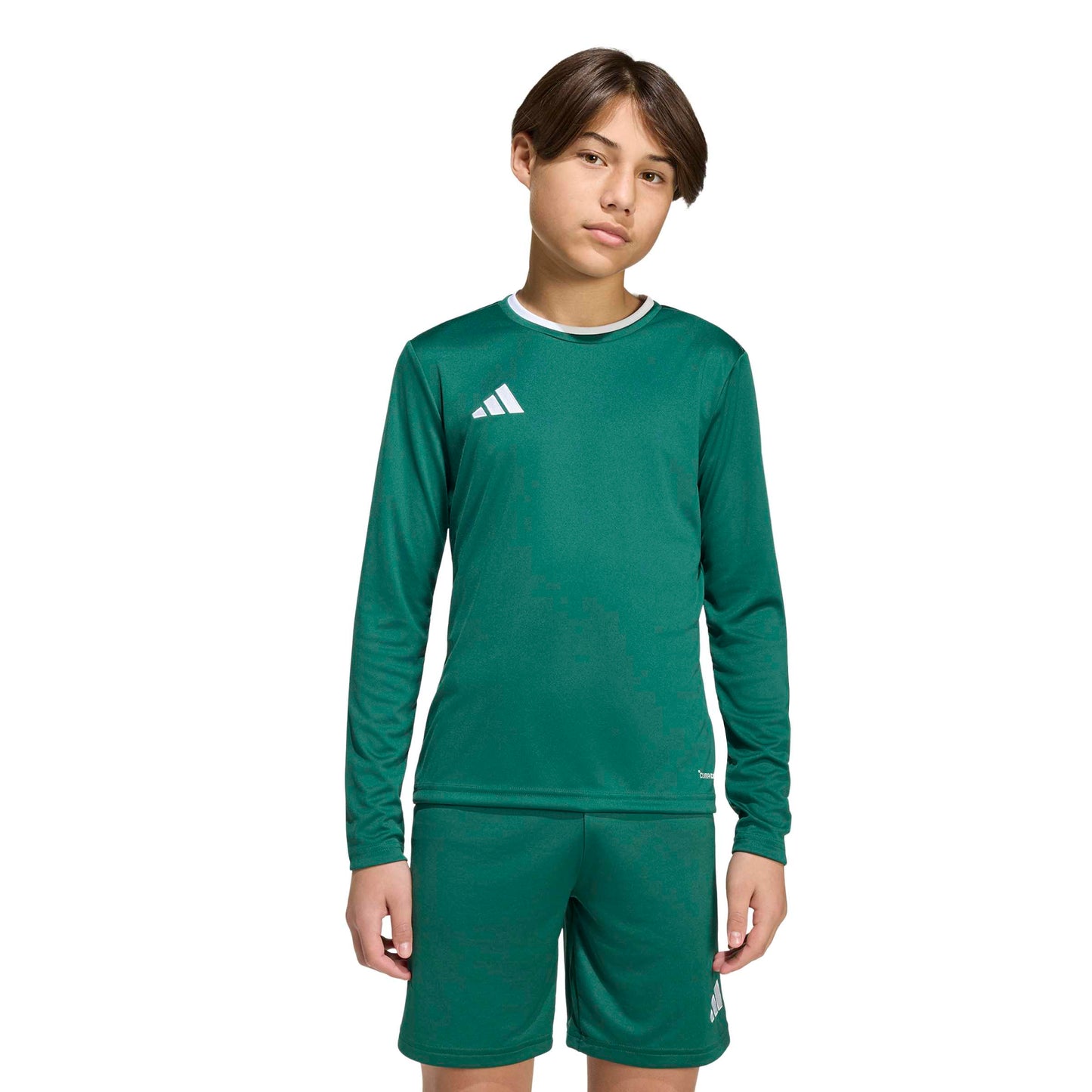 Team Dark Green/White