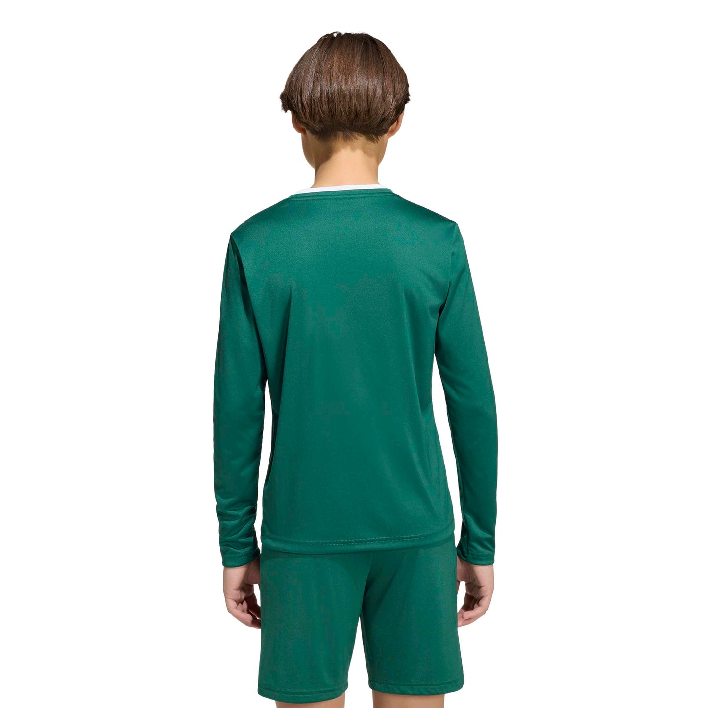 Team Dark Green/White