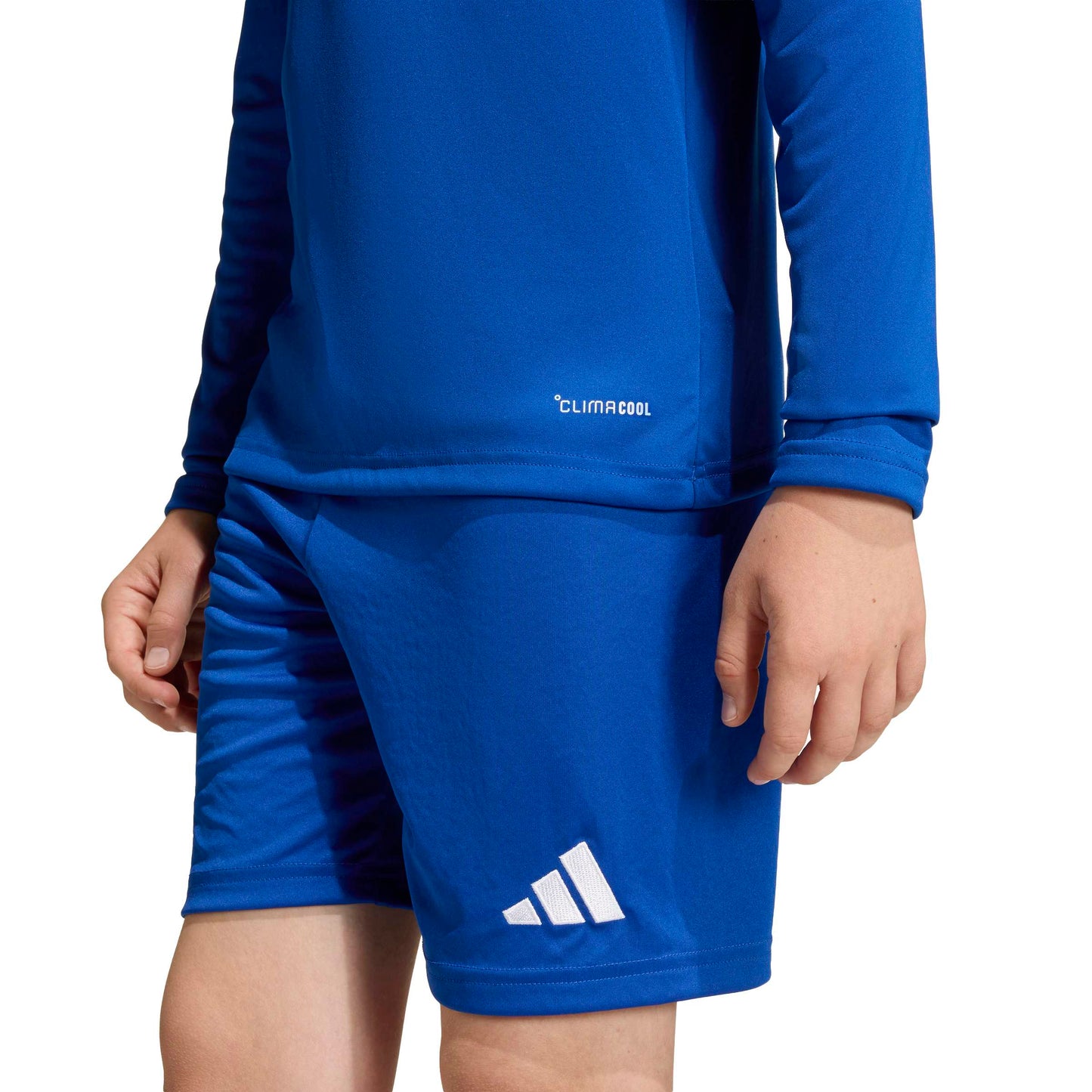 Team Royal Blue/White