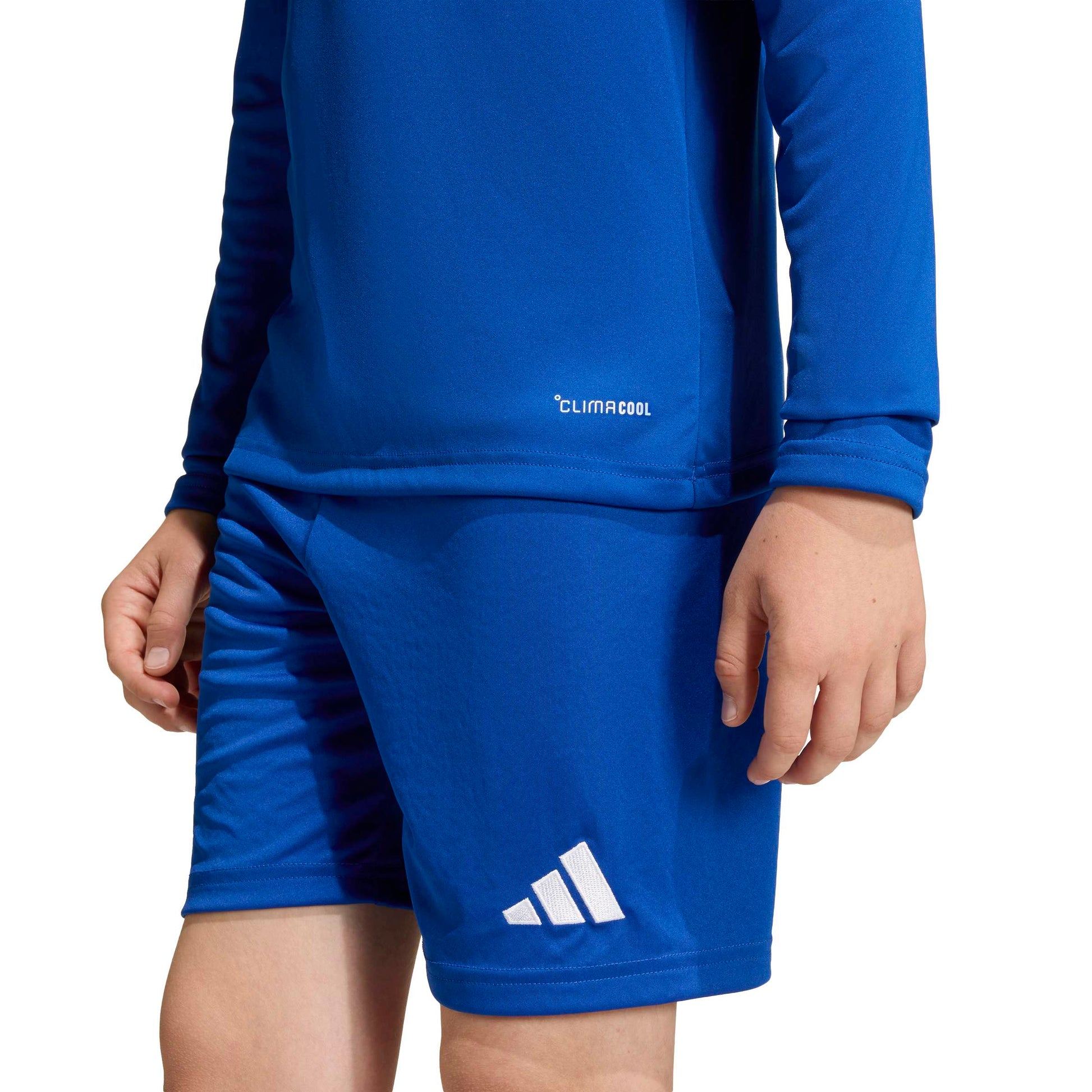 Team Royal Blue/White