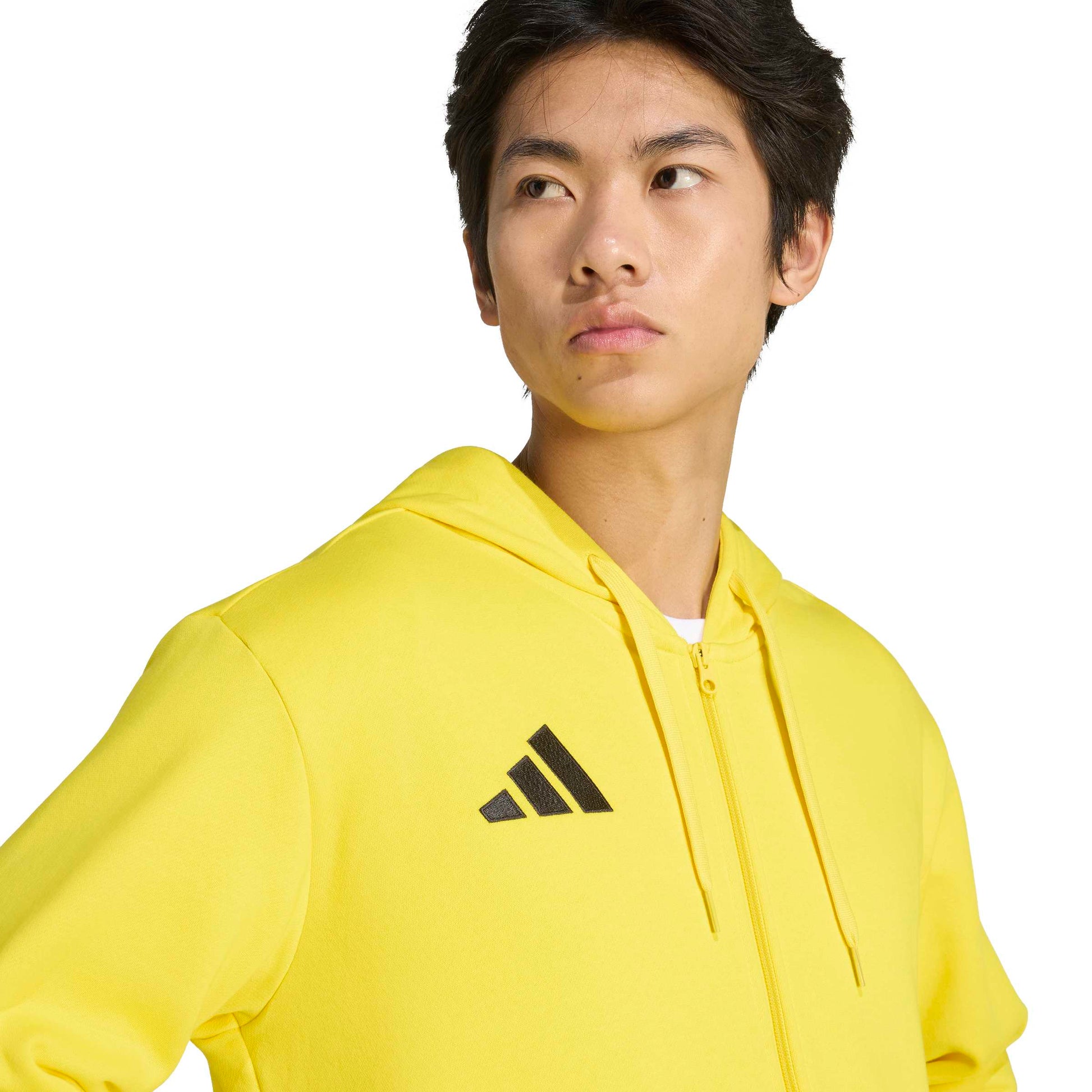 Team Yellow/Black