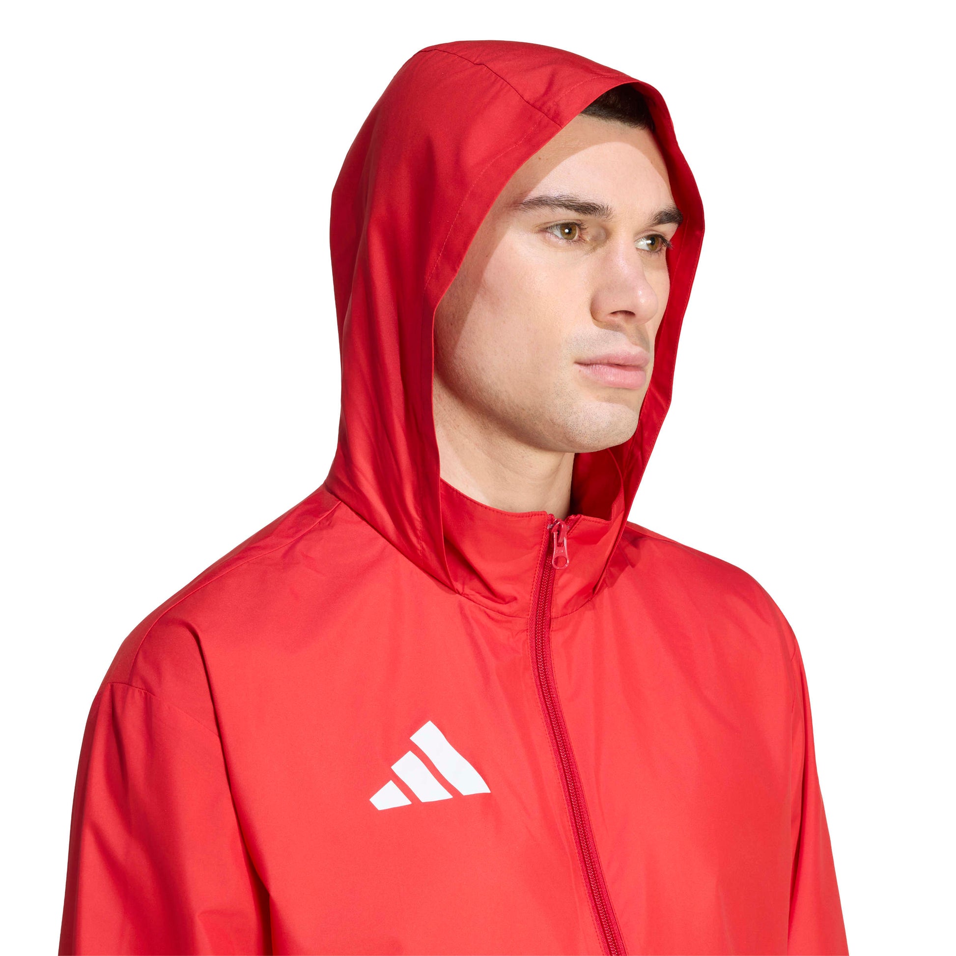 Team Power Red 2