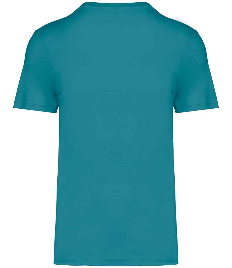 NS300 Adriatic Blue Back