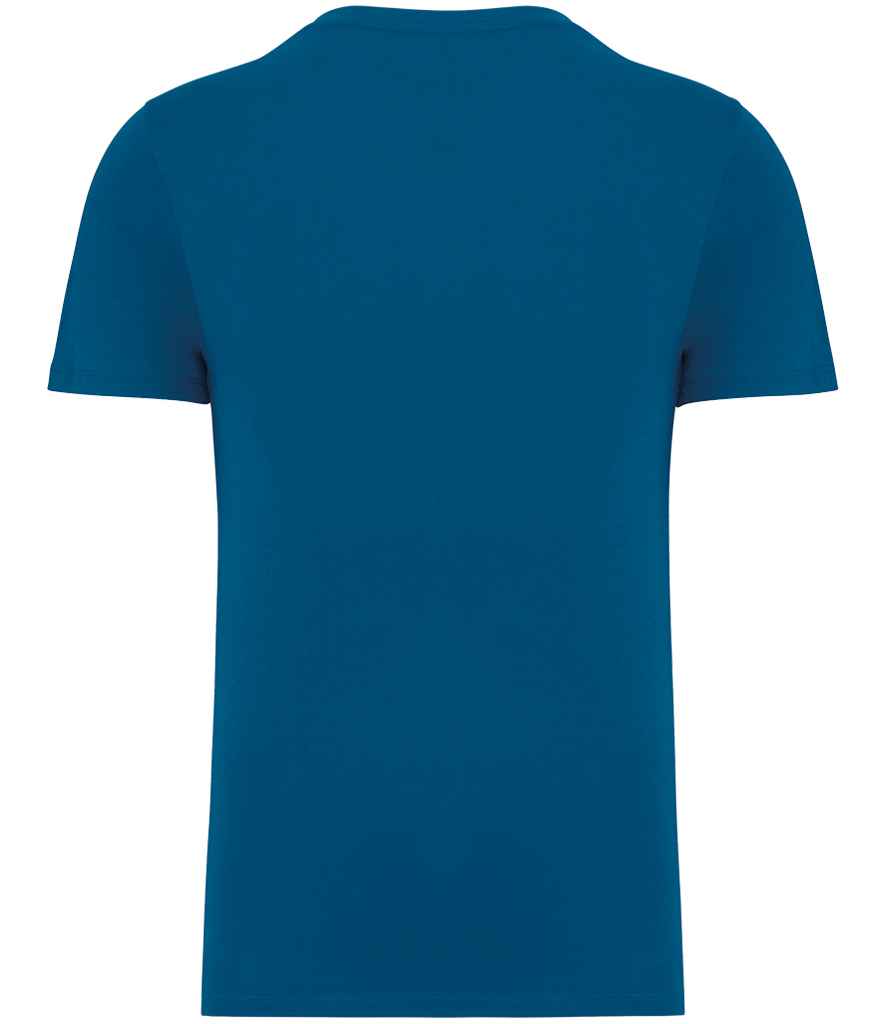 NS300 Blue Sapphire Back