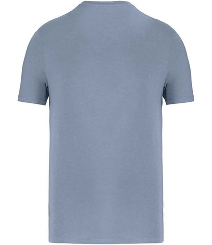 Native Spirit Unisex T-Shirt NS300 in Cool Blue – back
