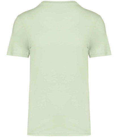 Native Spirit Unisex T-Shirt NS300 in Celadon Green – back