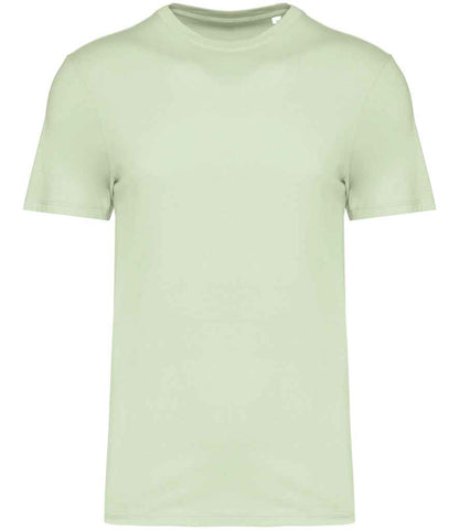 Native Spirit Unisex T-Shirt NS300 in Celadon Green – front
