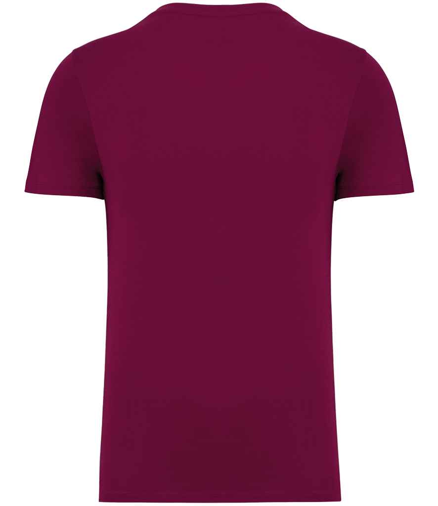 NS300 Cherry Purple Back