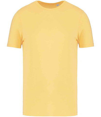 Native Spirit Unisex T-Shirt NS300 in Pineapple – front