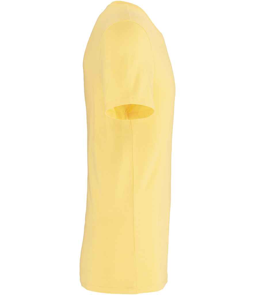 NS300 Pineapple Side