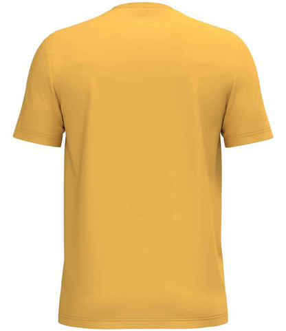 Native Spirit Unisex T-Shirt NS300 in Sun Yellow – back