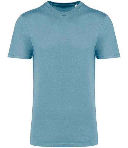 Native Spirit Unisex Crew Neck IC T-Shirt NS314IC in Arctic Blue – front