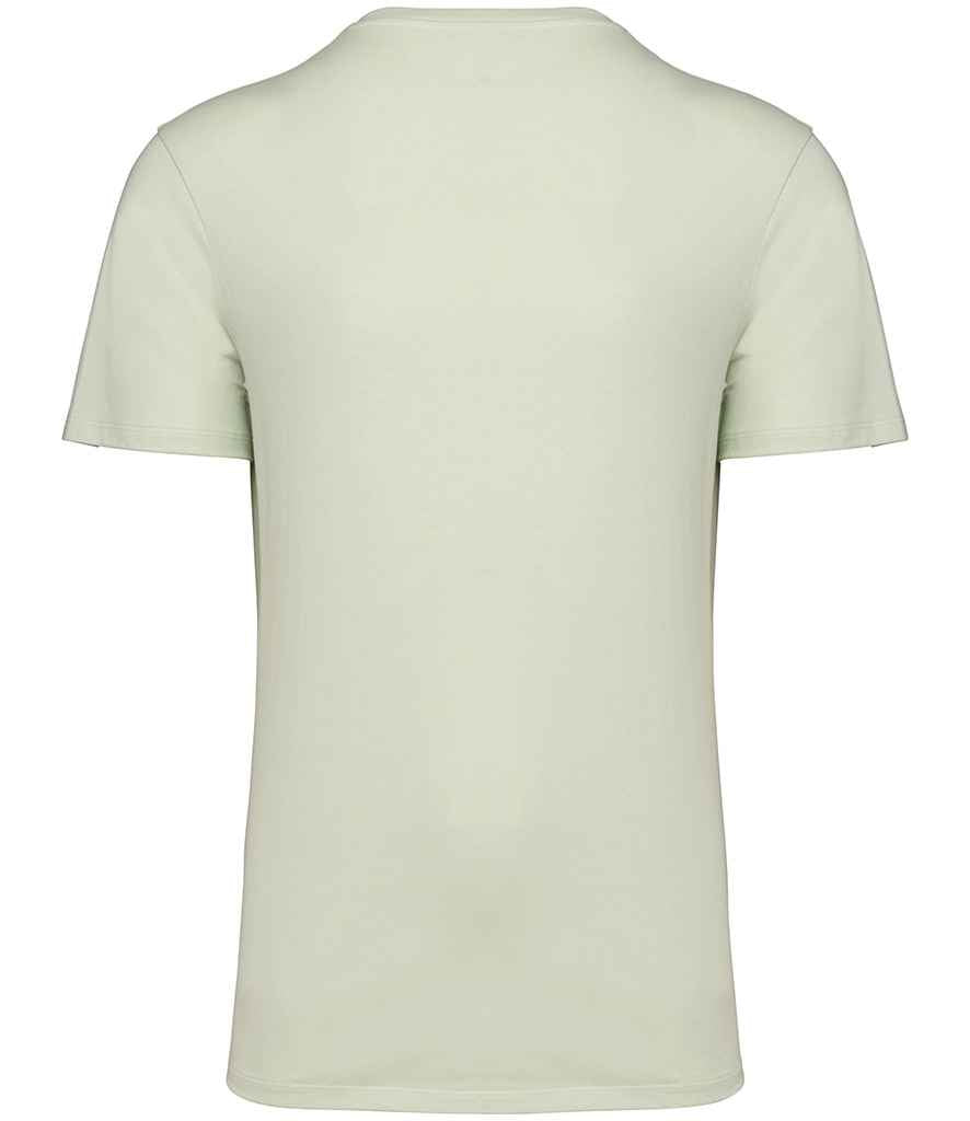 NS314IC Celadon Green Back