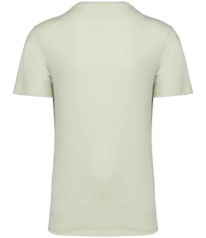 Native Spirit Unisex Crew Neck IC T-Shirt NS314IC in Celadon Green – back