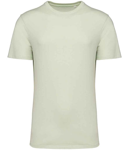 Native Spirit Unisex Crew Neck IC T-Shirt NS314IC in Celadon Green – front