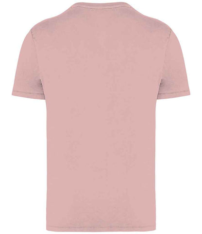 Native Spirit Unisex Faded T-Shirt NS315 in Washed Petal Rose – back