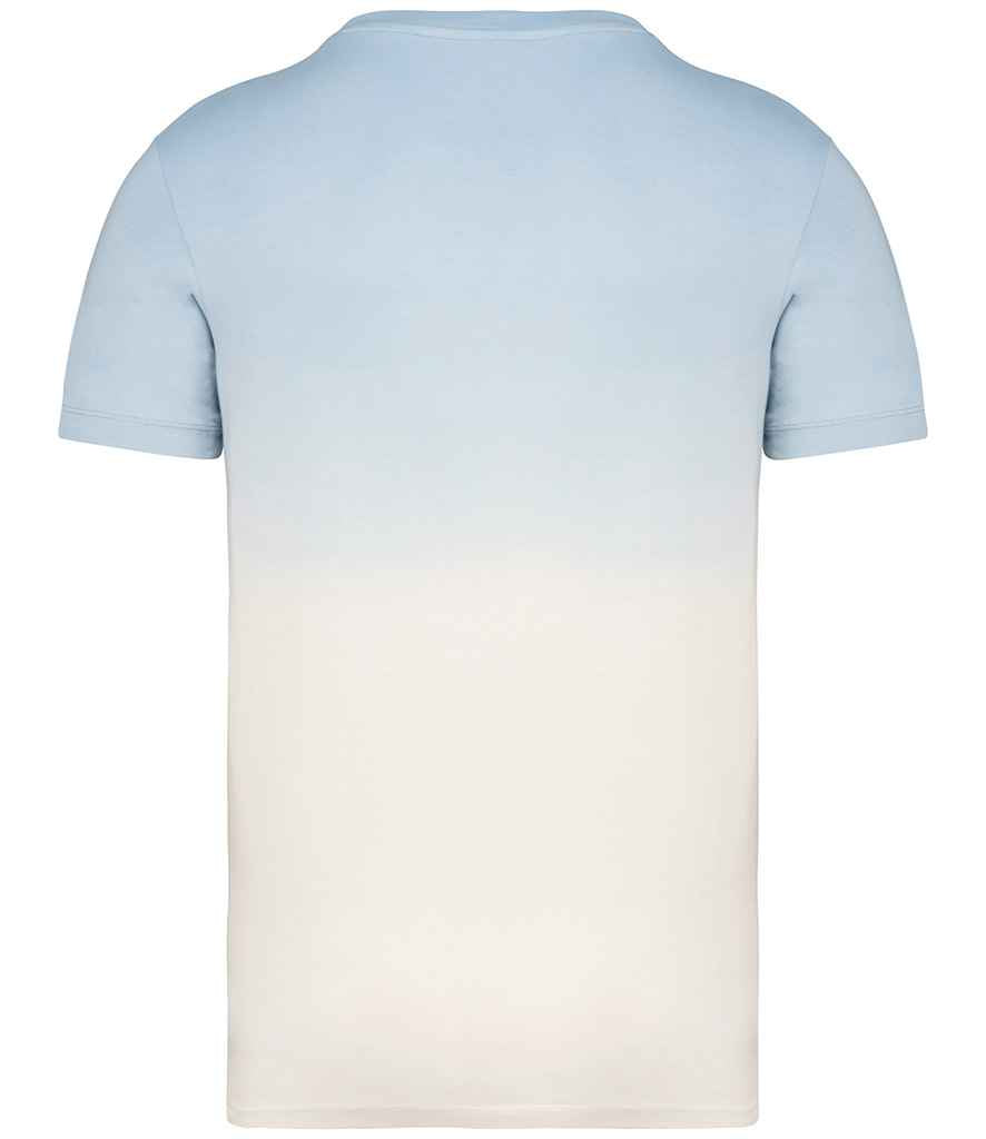 NS345 Dip Dye Aquamarine Back
