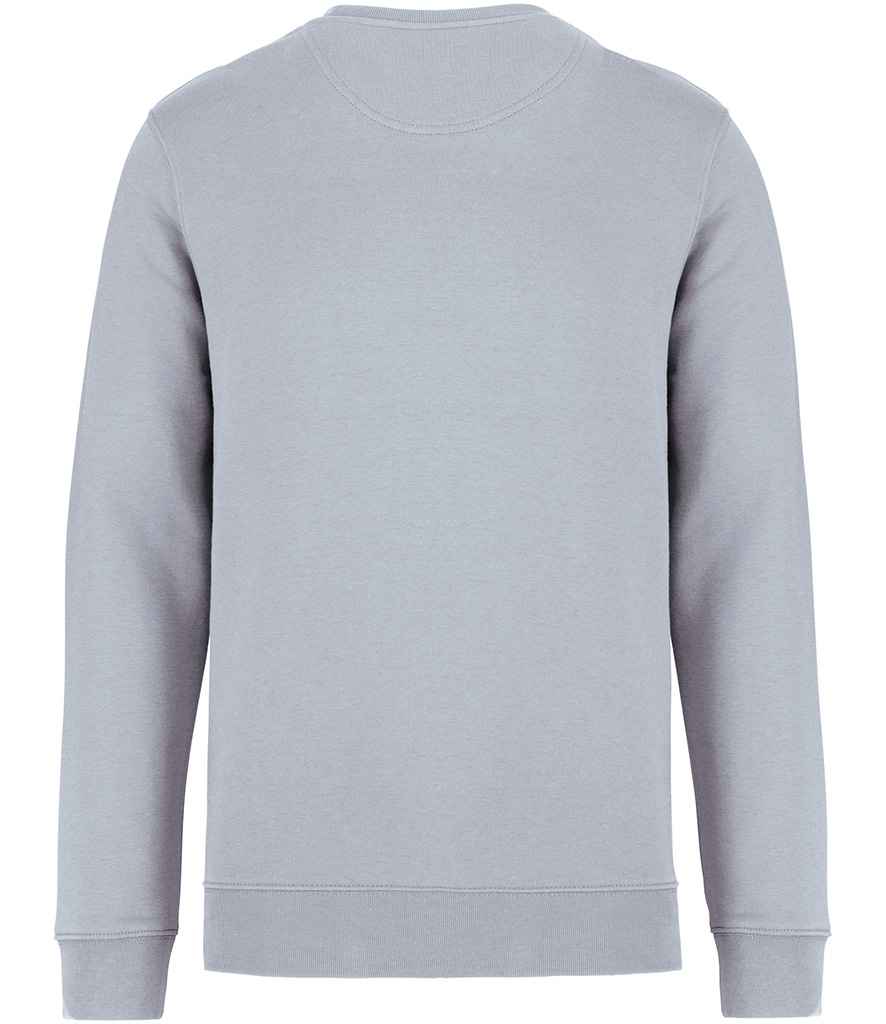NS400 Aquamarine Back