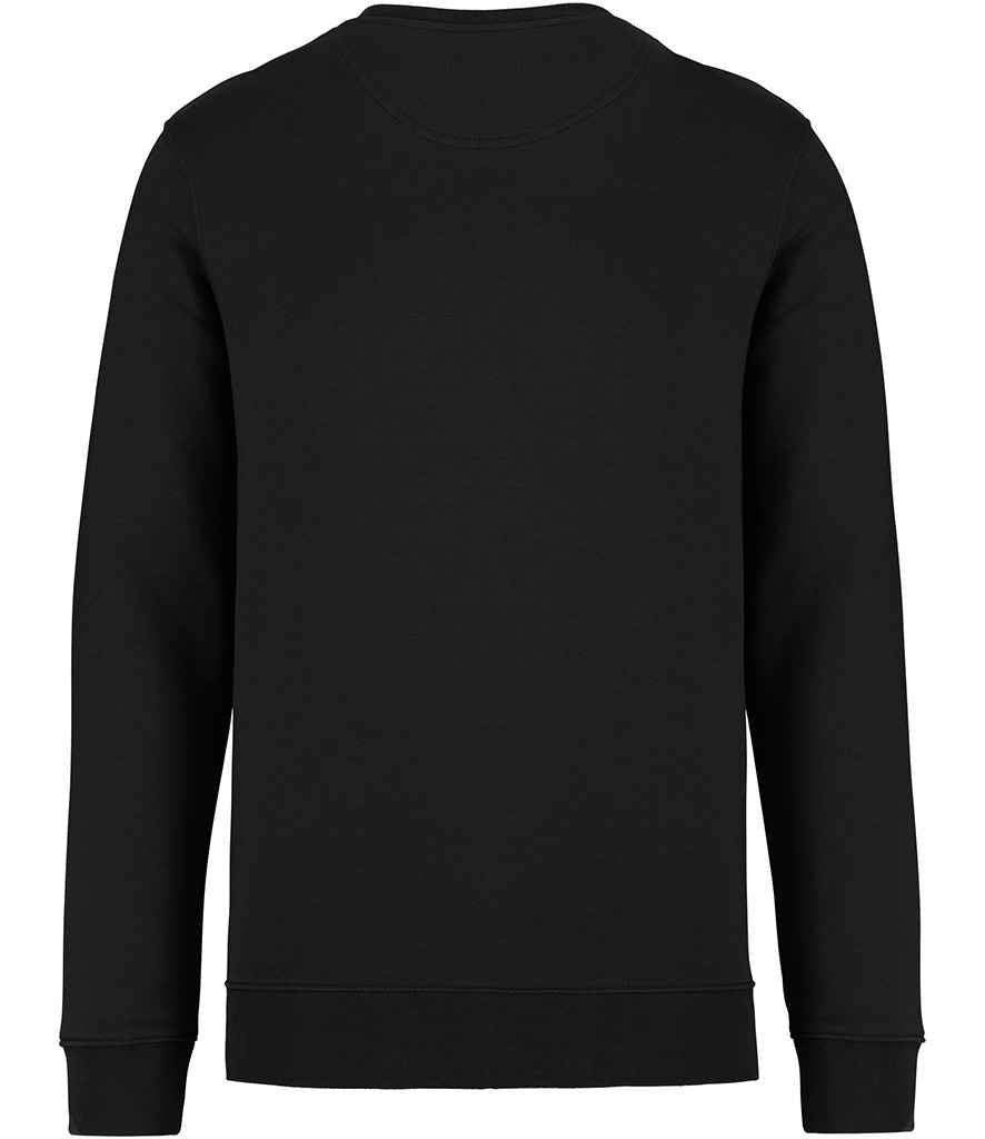 NS400 Black Back