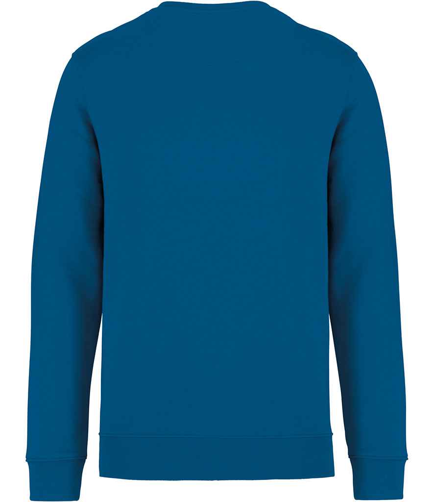 NS400 Blue Sapphire Back