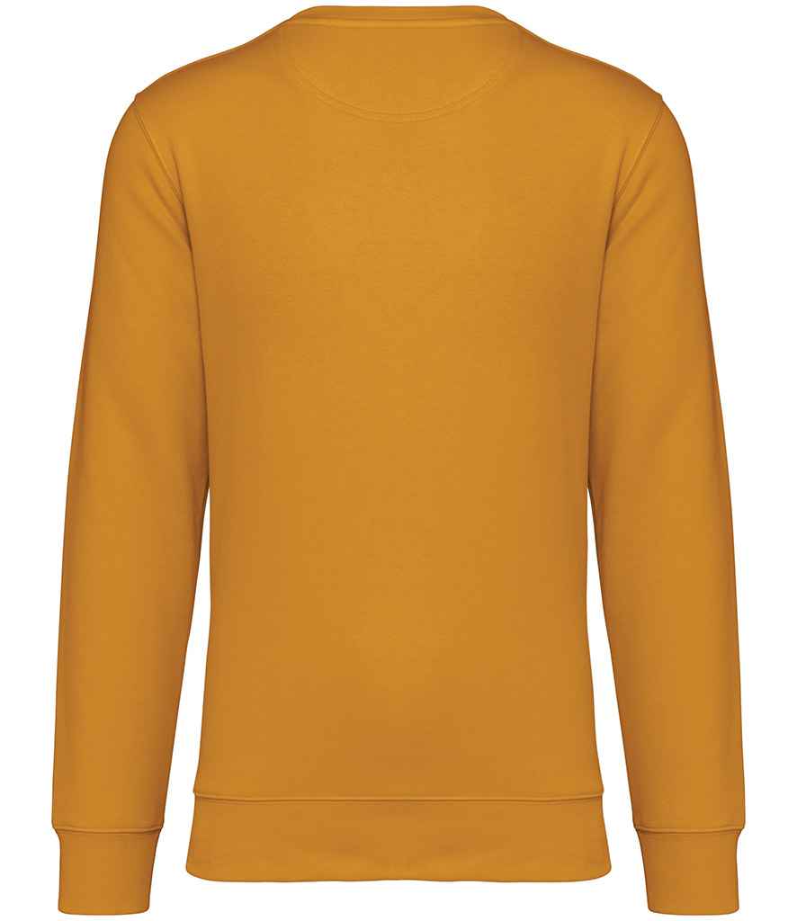 NS400 Curcuma Back