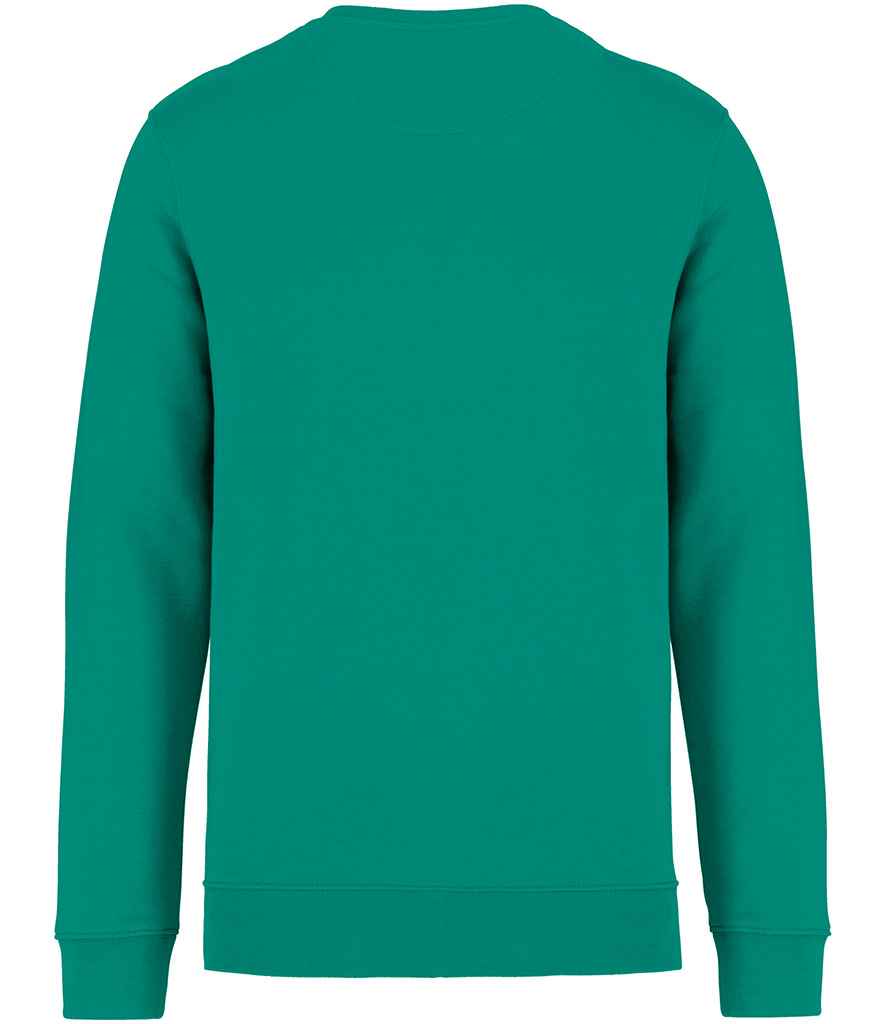 NS400 Gemstone Green Back