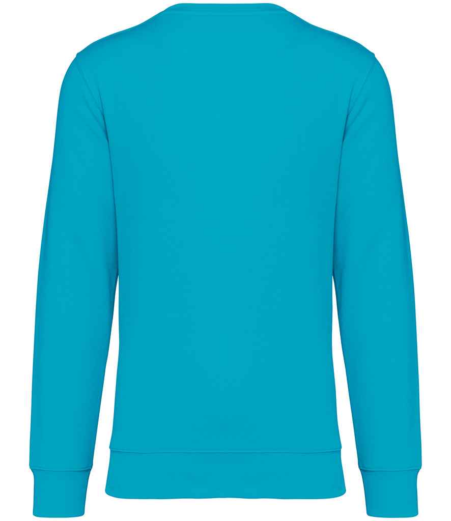 NS400 Light Turquoise Back
