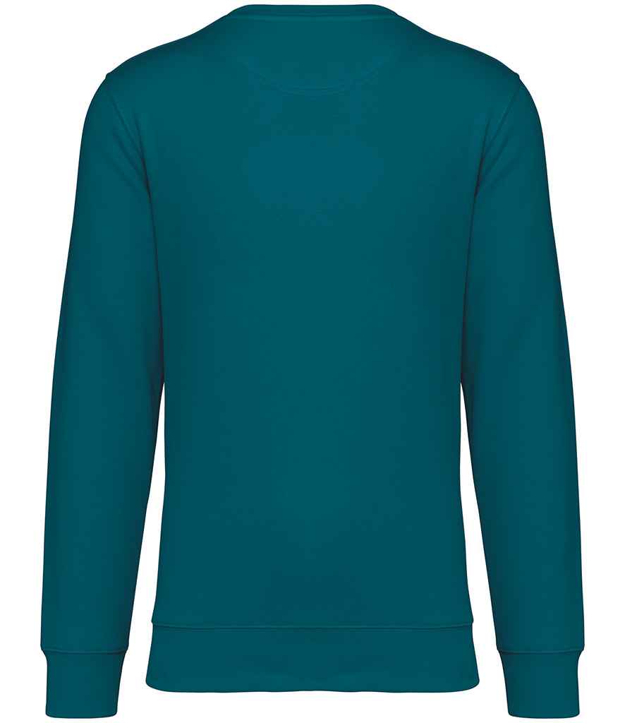 NS400 Peacock Green Back