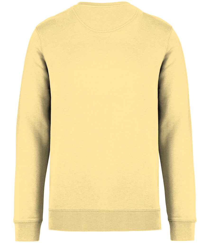 NS400 Pineapple Back