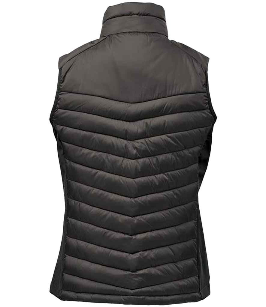 PDV1W Black/Granite Back