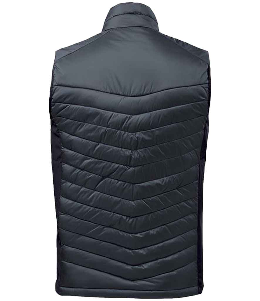 PDV1 Indigo/Midnight Back