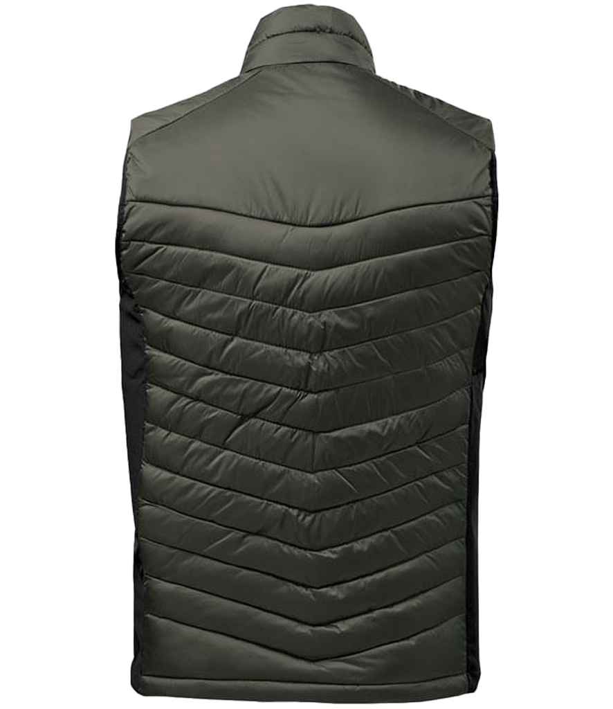 PDV1 Spruce/Mallard Back