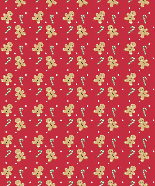 Christmas Fleece Throw - RI029